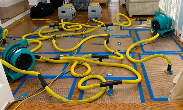Professional Structural Drying And Dehumidification technician working in Mount Eaton, OH